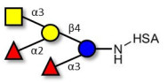 Blood group A pentaose grafted on HSA