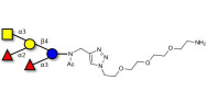 Blood group A pentaose with free terminal amine (Linker-NH2 B)