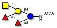 Blood group A pentaose grafted on OVA