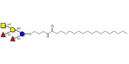 Blood group A pentaose with stearic chain (Linker-STEA A)