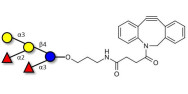 Blood group B pentaose with DBCO (Linker-DBCO A)