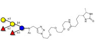 Blood group B pentaose linked to desthiobiotin (Linker-DBT-A)