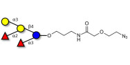 Blood group B pentaose with terminal azide (Linker-N3 B)