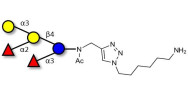 Blood group B pentaose with free terminal amine (Linker-NH2 D)