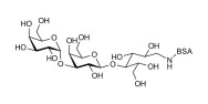 Isoglobotriose (iGb3) grafted on BSA