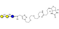 Isoglobotriose (iGb3) linked to biotin (Linker-BT A)