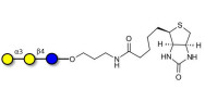 Isoglobotriose (iGb3) linked to biotin (Linker-BT B)