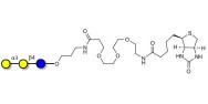 Isoglobotriose (iGb3) linked to biotin (Linker-BT C)