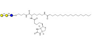 Isoglobotriose (iGb3) linked to biotin and stearic chain (Linker-BT-STEA A)