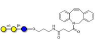 Isoglobotriose (iGb3) with DBCO (Linker-DBCO A)