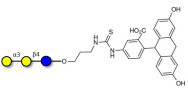 Isoglobotriose (iGb3) linked to fluorescein (Linker-FLUO A)