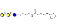 Isoglobotriose (iGb3) with cyclic di-thiol (Linker-LIPO A)