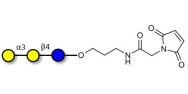 Isoglobotriose (iGb3) linked to maleimide (Linker-MAL A)