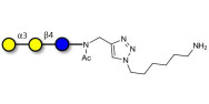 Isoglobotriose (iGb3) with free terminal amine (Linker-NH2 D)