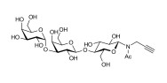 Isoglobotriose (iGb3) with terminal alkyne (Linker-CΞCH A)
