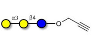 Isoglobotriose (iGb3) with terminal alkyne (Linker-CΞCH B)