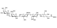 Galili antigen pentaose grafted on BSA