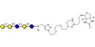 Galili antigen pentaose linked to biotin (Linker-BT A)