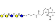Galili antigen pentaose linked to biotin (Linker-BT B)
