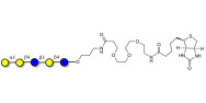 Galili antigen pentaose linked to biotin (Linker-BT C)