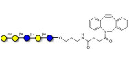 Galili antigen pentaose with DBCO (Linker-DBCO A)