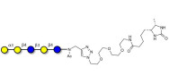 Galili antigen pentaose linked to desthiobiotin (Linker-DBT-A)