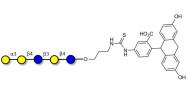 Galili antigen pentaose linked to fluorescein (Linker-FLUO A)