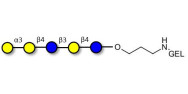 Galili antigen pentaose grafted on gel for affinity chromatography (Linker-GEL B)