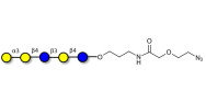 Galili antigen pentaose with terminal azide (Linker-N3 B)
