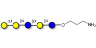 Galili antigen pentaose with free terminal amine (Linker-NH2 A)