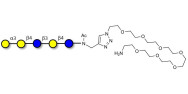 Galili antigen pentaose with free terminal amine (Linker-NH2 C)