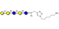 Galili antigen pentaose with free terminal amine (Linker-NH2 D)