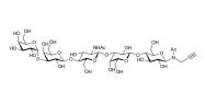 Galili antigen pentaose with terminal alkyne (Linker-CΞCH A)