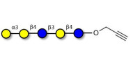 Galili antigen pentaose with terminal alkyne (Linker-CΞCH B)