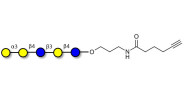 Galili antigen pentaose with terminal alkyne (Linker-CΞCH C)