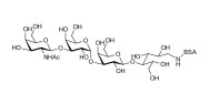 Isoglobotetraose (iGb4) grafted on BSA