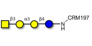 Isoglobotetraose (iGb4) grafted on CRM197