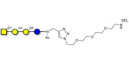 Isoglobotetraose (iGb4) grafted on gel for affinity chromatography (Linker-GEL A)