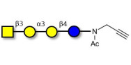 Isoglobotetraose (iGb4) with terminal alkyne (Linker-CΞCH A)