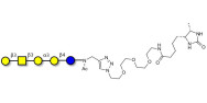 Isoglobopentaose (iGb5) linked to desthiobiotin (Linker-DBT-A)
