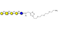 Isoglobopentaose (iGb5) with free terminal amine (Linker-NH2 B)