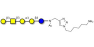 Isoglobopentaose (iGb5) with free terminal amine (Linker-NH2 D)