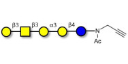 Isoglobopentaose (iGb5) with terminal alkyne (Linker-CΞCH A)