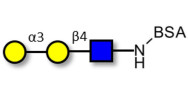 Xeno antigen type 2 / Galili antigen triose grafted on BSA