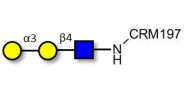 Xeno antigen type 2 / Galili antigen triose grafted on CRM197