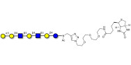 Galili antigen heptaose linked to biotin (Linker-BT A)
