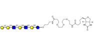 Galili antigen heptaose linked to biotin (Linker-BT C)