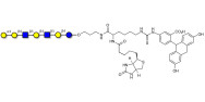 Galili antigen heptaose linked to biotin and fluorescein (Linker-BT-FLUO A)