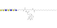 Galili antigen heptaose linked to biotin and stearic chain (Linker-BT-STEA A)