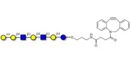 Galili antigen heptaose with DBCO (Linker-DBCO A)